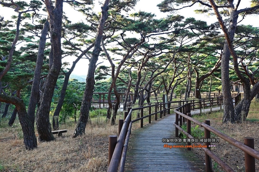 인천 가볼만한섬 덕적도 1박2일 섬 여행(트레킹 명소) : 네이버 블로그