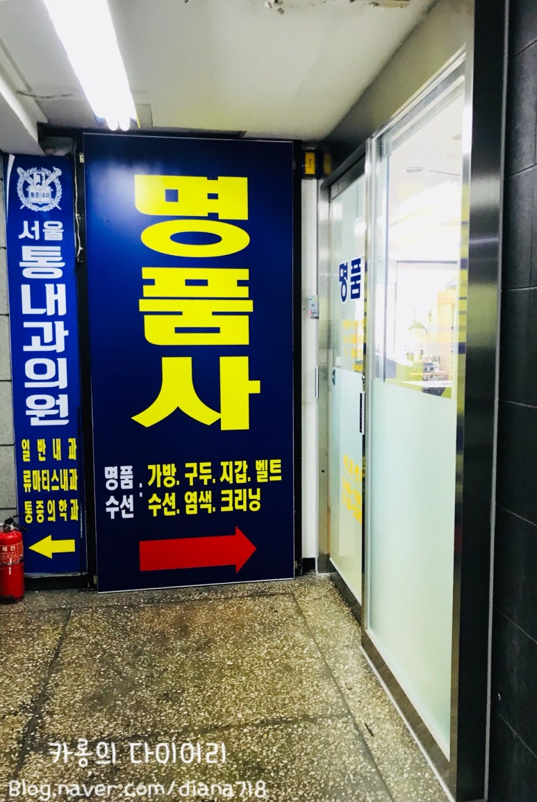 로데오수선 이미지