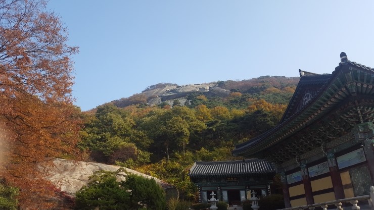 제주이글여행사 이미지