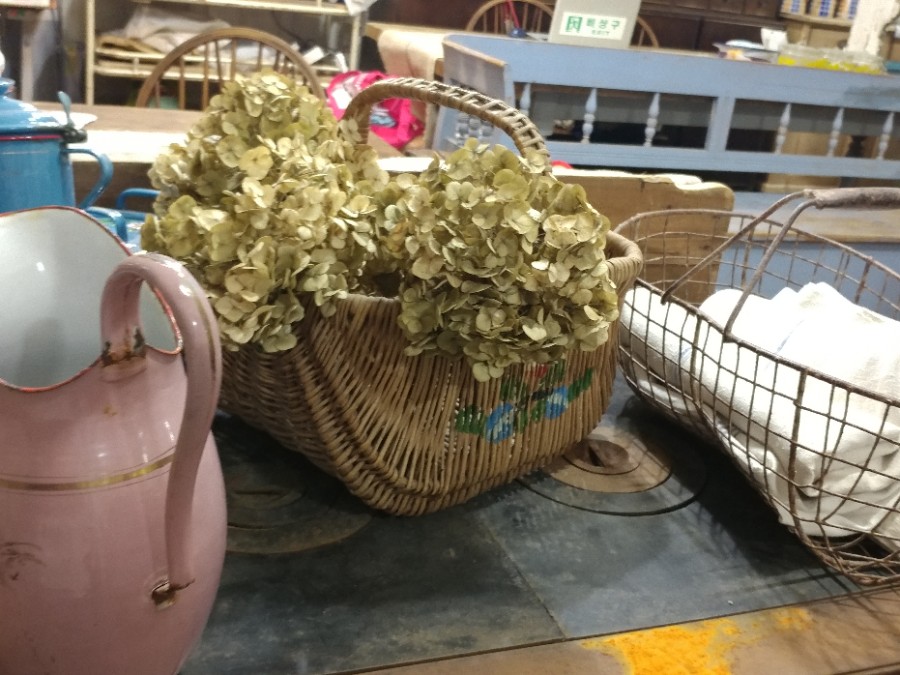 이즈소니아 이미지