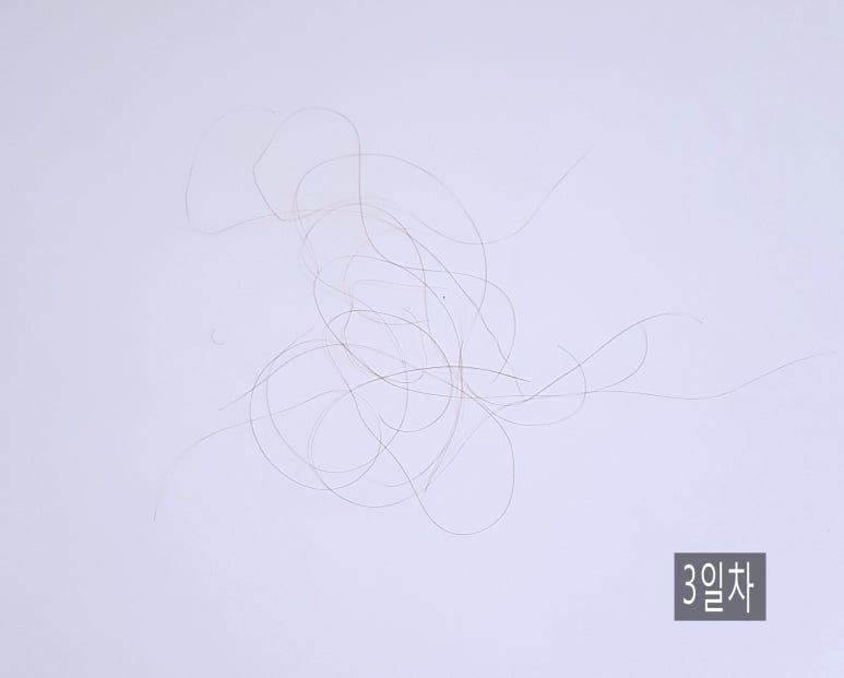 댕기머리헤어 이미지