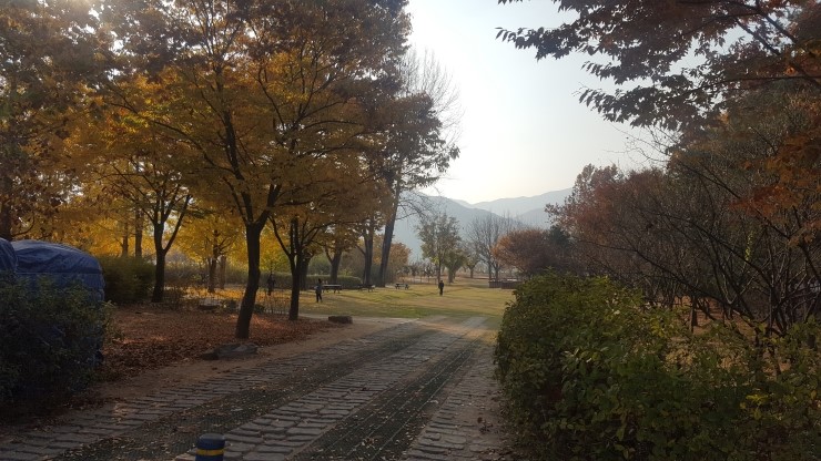 제이월드무역 이미지