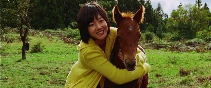각설탕 이미지