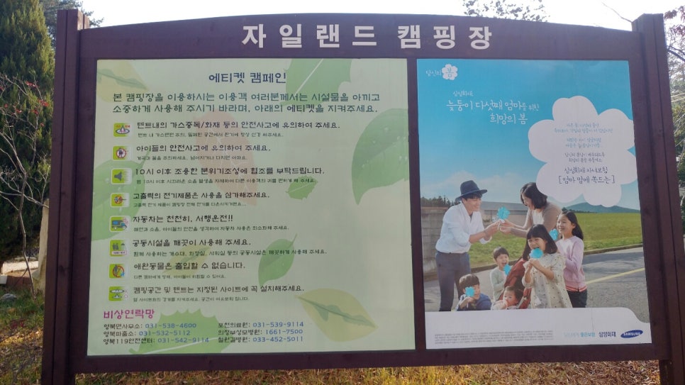 자일랜드 이미지