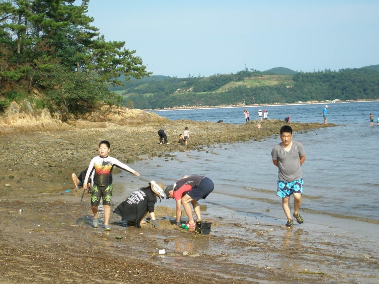 물안민박 이미지