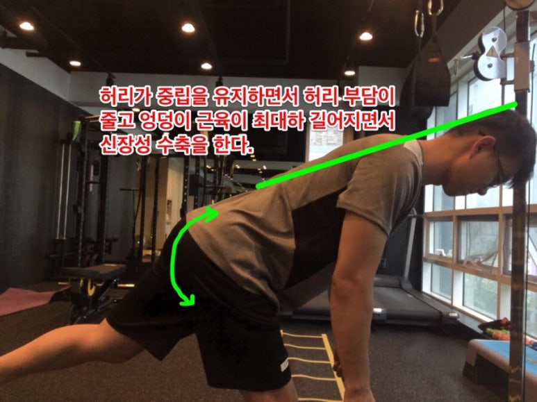 레이짐 이미지