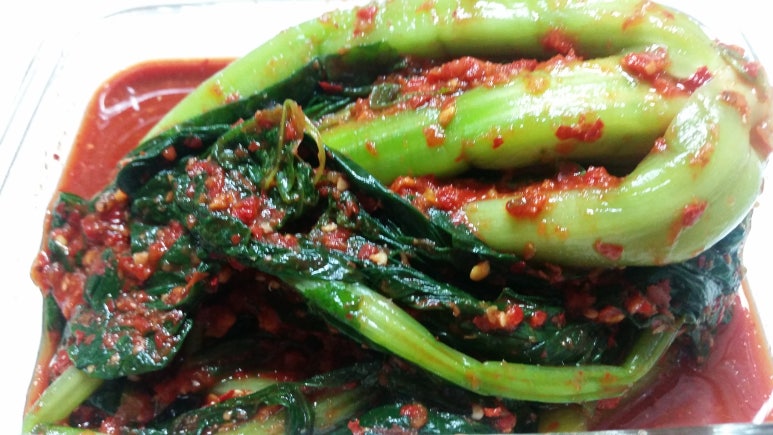 황장군 이미지