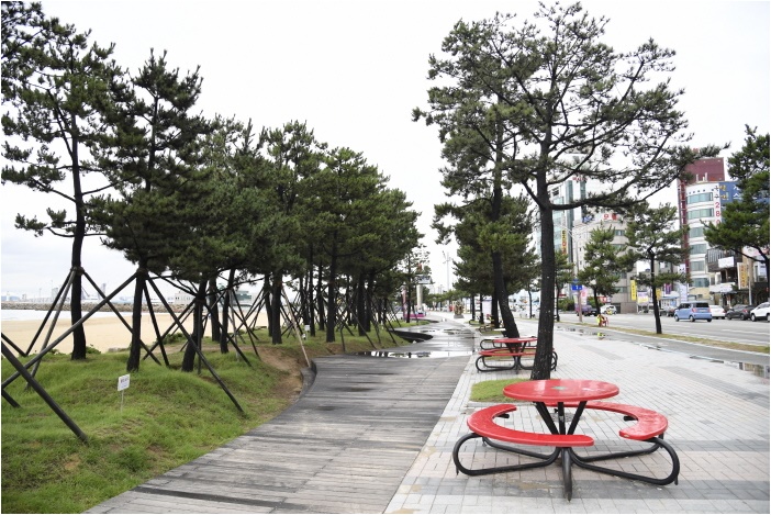 항구동 이미지