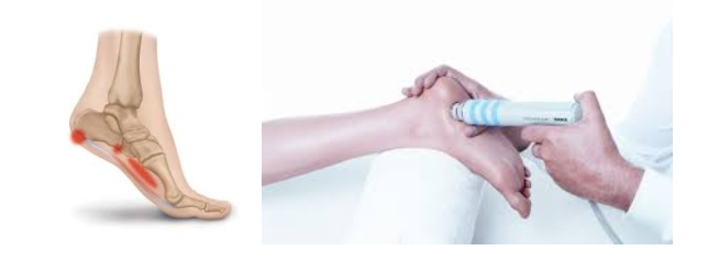 더참본정형외과 이미지