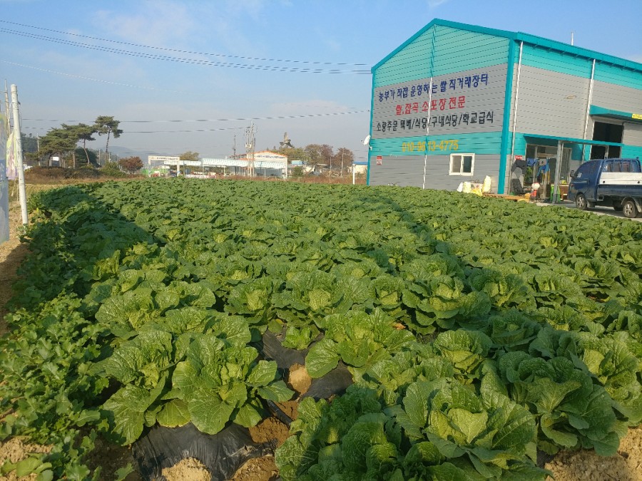 농업회사법인(주)한울타리 이미지
