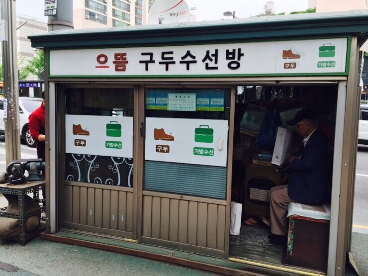 으뜸수선 이미지