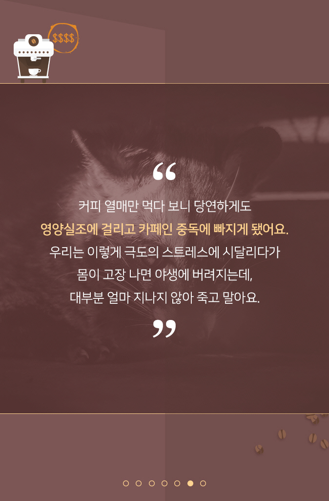 석수동커피 이미지