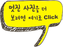 (주)에스티에프 이미지