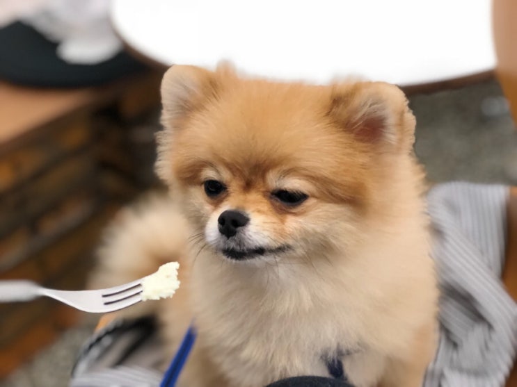 한성텔레콤 이미지