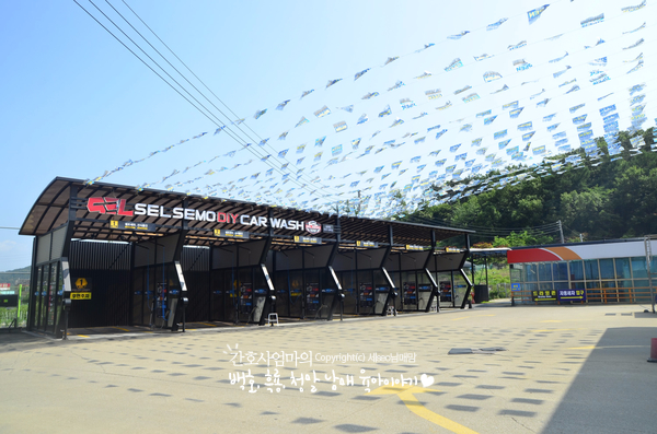 셀세모 이미지
