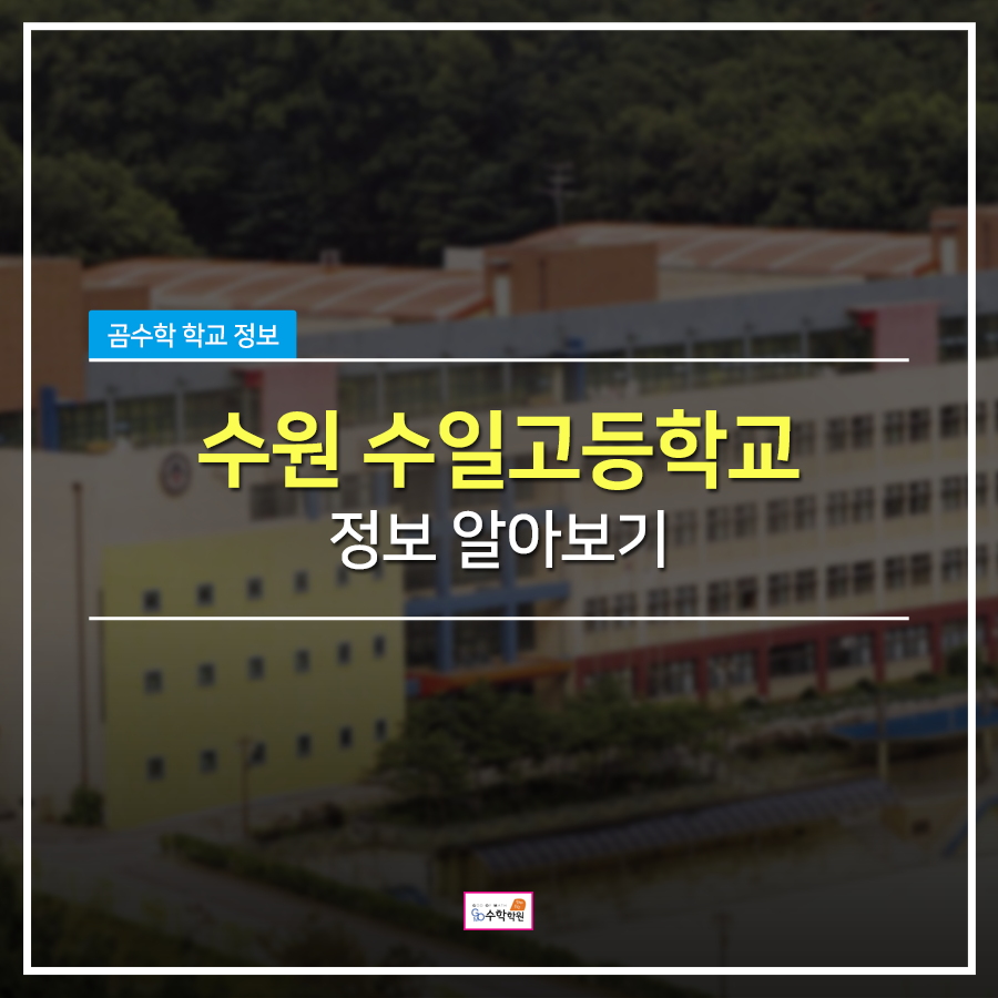 수일정보 이미지
