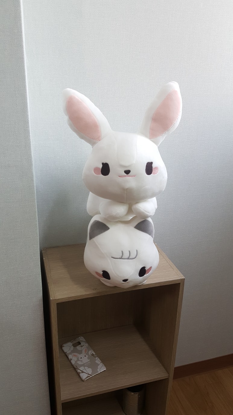 버터솜 이미지