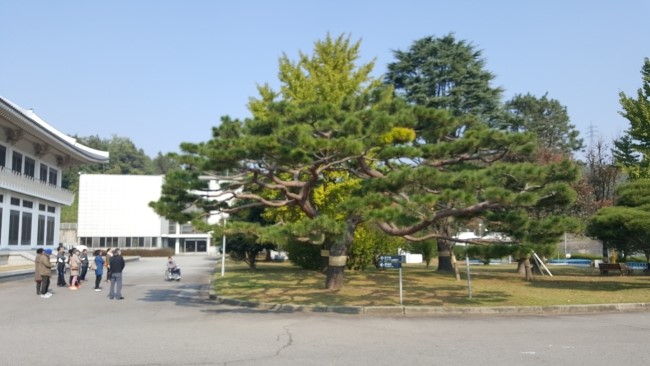 클로바조경 이미지