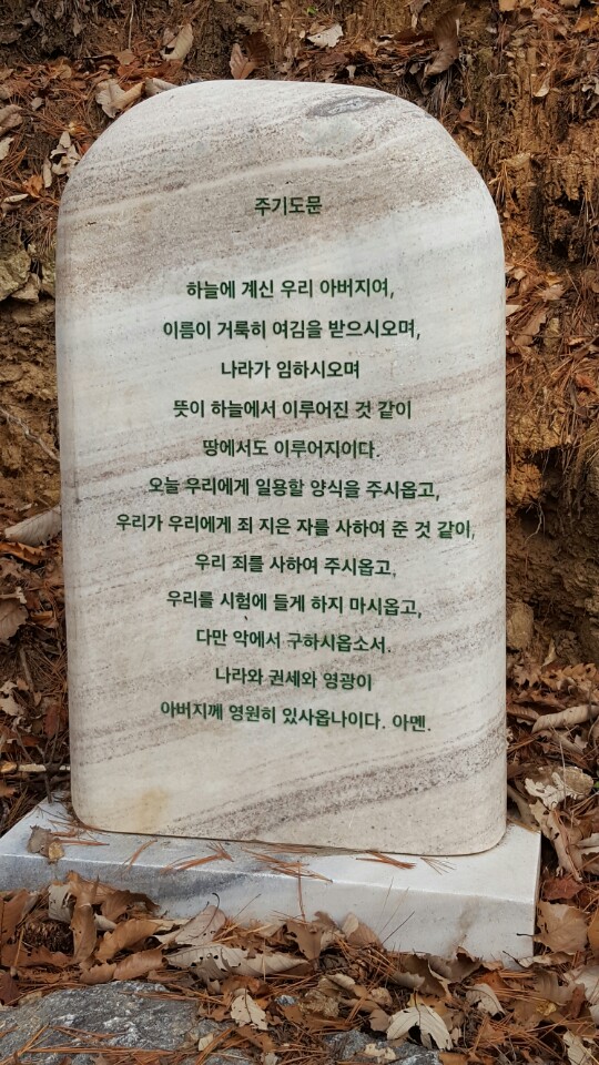 채움그룹 이미지
