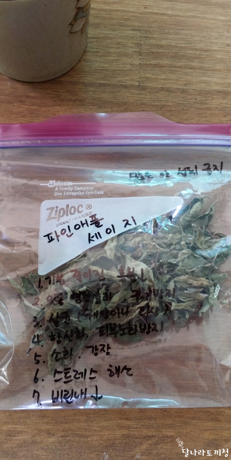 커피콩의하루 이미지