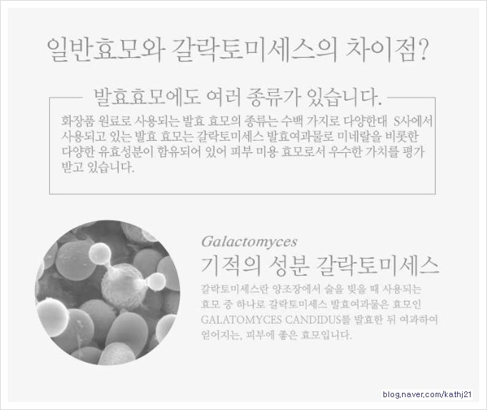 베네미 이미지