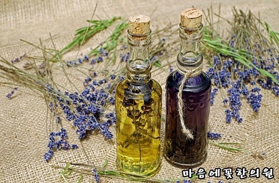 마음에꽃한의원 이미지