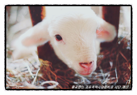 세무회계고유 이미지