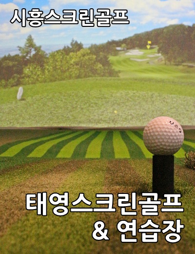 태영스크린 이미지