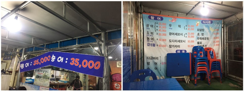 원조세꼬시 이미지