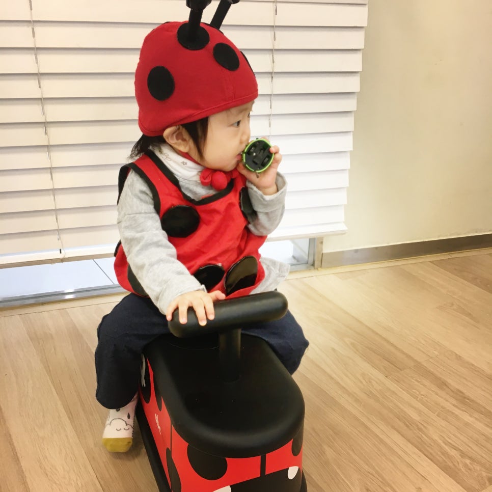 베이비또율 이미지