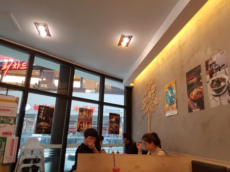 펜타포트국수나무 이미지