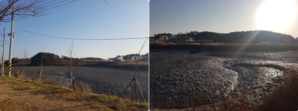 달콤이네 캠핑장 이미지