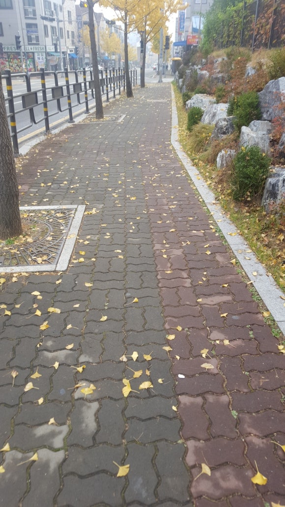 이드레헤어 이미지