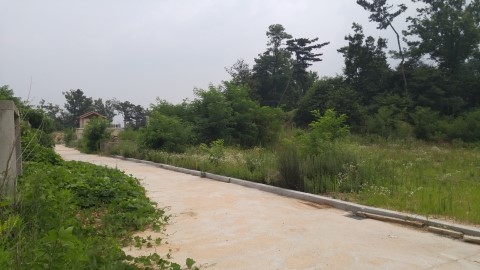 오산행정사합동사무소 이미지