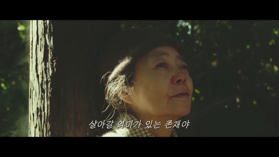 로니스도우 이미지