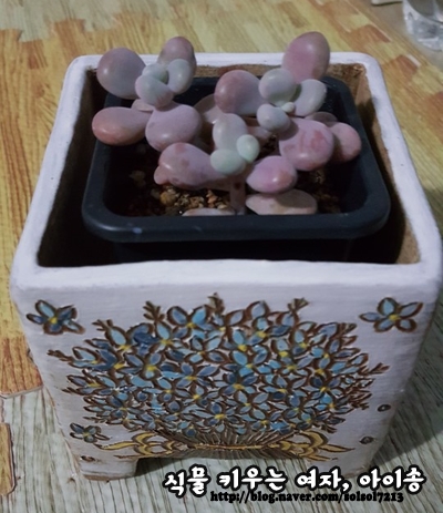 꽃담은수제화분 이미지