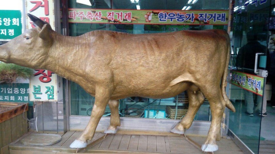 파주축산한우마을 이미지