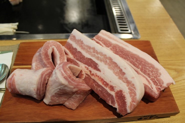 하이포크엔바이콘 이미지