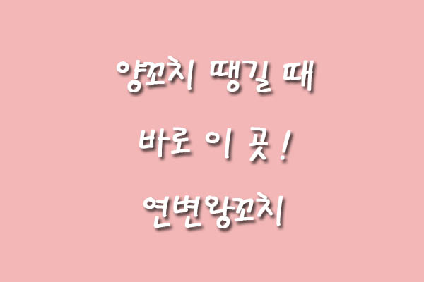 연변왕꼬치 이미지
