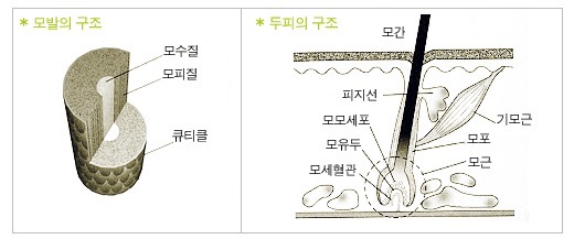 경주미용실 이미지