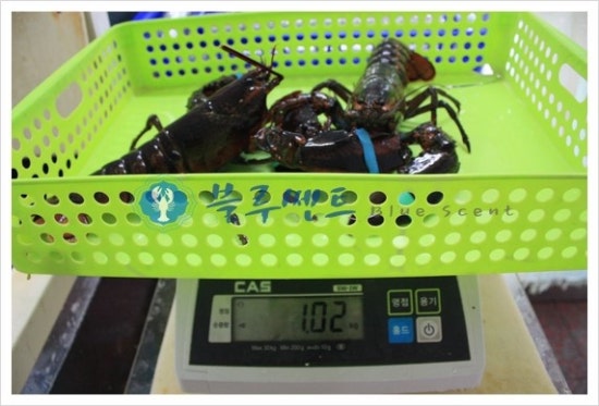 경승포장 이미지