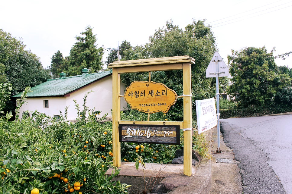 오끼416갤러리 이미지