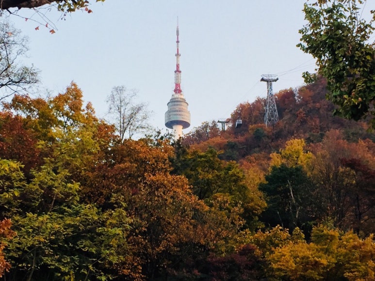 파란나라 이미지