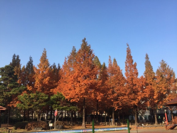 친정맘마 이미지
