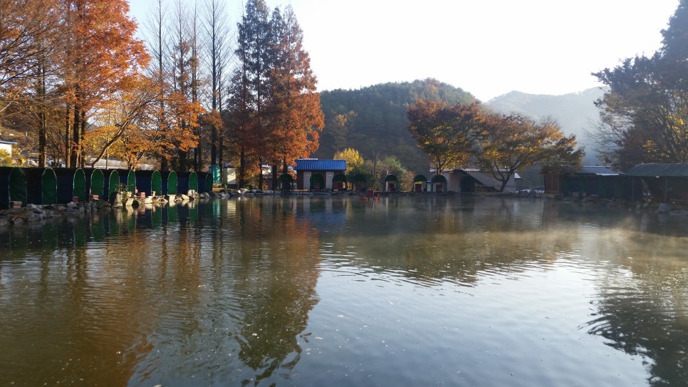 벌곡낚시터 이미지