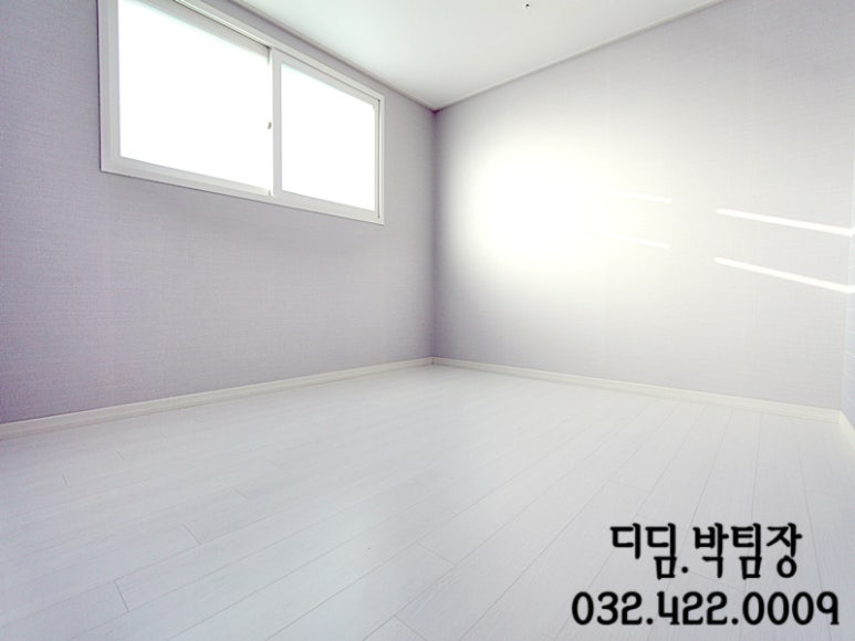 하이네스 이미지