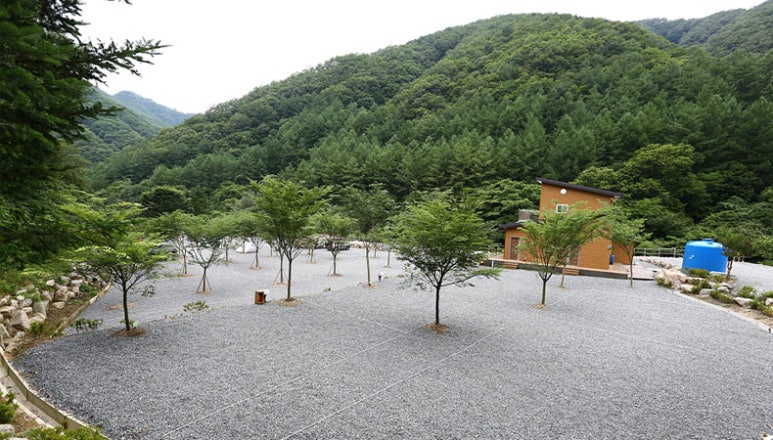 횡성산울림오토캠핑장 이미지