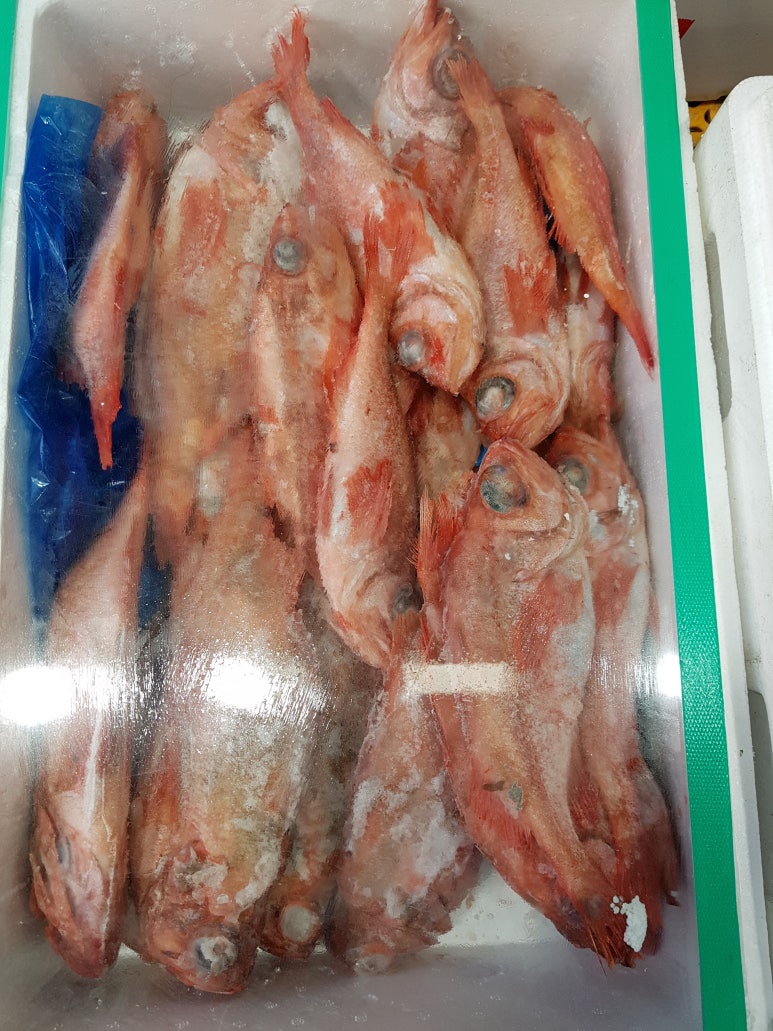 요리하기좋은날 이미지
