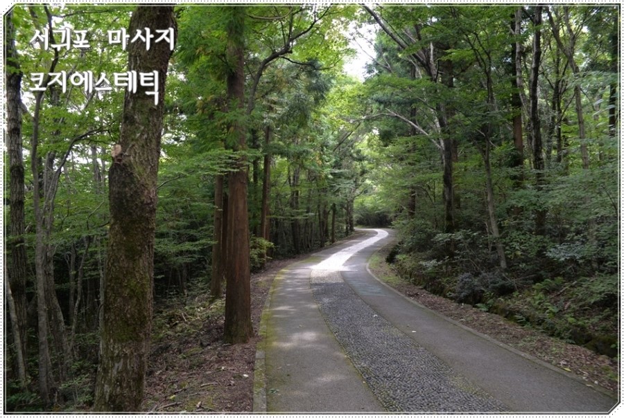 코지에스테틱 이미지