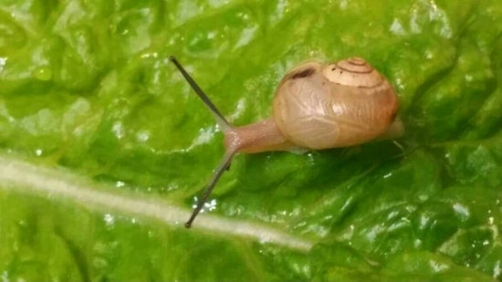 제주이글루 이미지